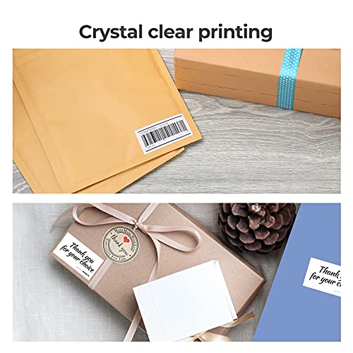 MUNBYN RealWriter 941B Bluetooth Drucker & Rechteck Etiketten Haustier Verpackung Starter Set